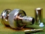 Image de Amphenol 31-321-RFX1 BNC Connectors